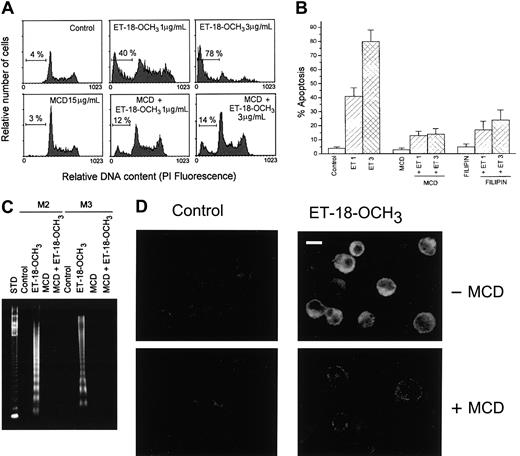 Fig. 3. Effect of MCD and filipin on ET-18-OCH3–induced apoptosis and Fas clustering in human leukemic cells. / (A) HL-60 cells were pretreated with MCD (15 μg/mL) for 1 hour at 37°C in serum-free medium, and then ET-18-OCH3 was added at 1 or 3 μg/mL for 5 hours. Cells were stained with propidium iodide, and their DNA content was analyzed by fluorescence flow cytometry. The percentage of cells with a DNA content less than G1 (sub-G1) is indicated in each histogram. Control untreated cells and cells treated only with MCD were run in parallel. Data are representative of 3 experiments performed. (B) HL-60 cells were pretreated with MCD (15 μg/mL) or filipin (1 μg/mL) for 1 hour at 37°C in serum-free medium, and then ET-18-OCH3was added at 1 (ET 1) or 3 (ET 3) μg/mL for 5 hours. Percentage of apoptotic cells was determined as above. Control untreated cells and cells treated only with MCD or filipin were also run in parallel. Data shown are means of 3 independent experiments ± SD (C). Bone marrow leukemic primary cultures derived from patients with M2 or M3 leukemia were incubated in the absence (Control) or in the presence of 3 μg/mL ET-18-OCH3, MCD (15 μg/mL), or MCD plus ET-18-OCH3 for 3 hours. Fragmented DNA was extracted and analyzed as described previously.1014 Fragmented DNA from 1.5 × 106 cells was loaded in each lane. A 123-bp DNA ladder was used as standard (STD). (D) HL-60 cells were untreated or pretreated with MCD (15 μg/mL) for 1 hour at 37°C in serum-free medium, and then ET-18-OCH3 was added at 1 μg/mL for 3 hours. Fas aggregation was then analyzed by confocal microscopy as indicated in Figure 1, using anti-Fas mAb and CY3-conjugated antimouse antibody. Bar indicates 8 μm.