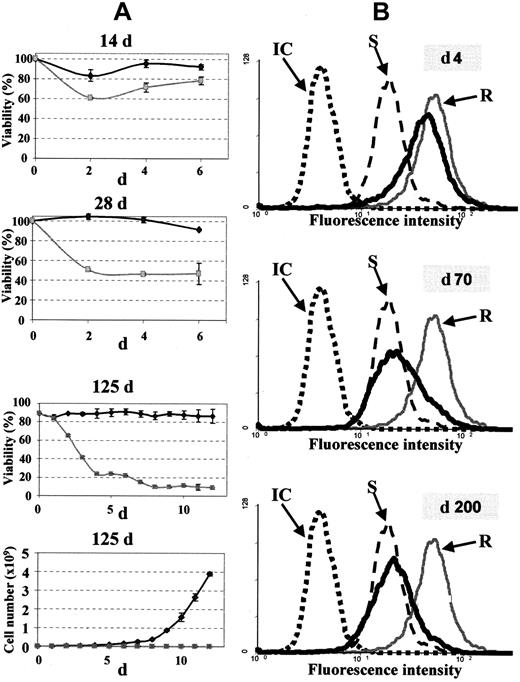 Fig. 2. Restoration of sensitivity to STI571. / (A) Viability (3 upper panels) and proliferation (bottom panel) of LAMA84-r cells in the presence (gray line) or absence (black line) of 1 μM STI571 after the indicated periods of withdrawal of the drug. Results are shown as the mean and range percentage of viable cells or absolute number of cells, respectively. (B) Flow cytometric histograms of LAMA84-s (S), LAMA84-r cells grown continuously in STI571 (R), and LAMA84-r grown in the absence of STI571 for the indicated periods (thick dark line) and stained with an anti-Abl antibody. One representative histogram of the 3 cell populations stained with an isotype control (IC) is shown. Note that the anti-Abl staining is due entirely to the Bcr-Abl protein, because LAMA84 does not express the normal ABL gene (no normal chromosome 9).8