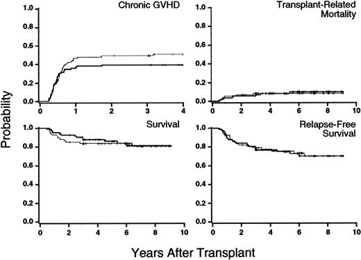 Fig. 1. Results showing that outcomes were similar in patients who received 24 months of cyclosporine prophylaxis (bolded line) and in those given 6 months of such prophylaxis (thin line). / Tic marks indicate the end of follow-up in surviving patients. No new cases of chronic GVHD were diagnosed more than 4 years after transplantation.