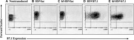 Fig. 1. HSV amplicon vectors are capable of infecting CLL cells and expressing B7.1. / CLL cells were isolated from human subjects and were left untreated (A) or were transduced with equivalent transduction units of HSVlac (B), hf-HSVlac (C), HSVB7.1 (D), or hf-HSVB7.1 (E). Cell surface expression of B7.1 was assessed by fluorescence-activated cell sorting; representative flow diagrams for each treatment are shown. The y-axis illustrates forward scatter increasing from bottom to top, and the x-axis illustrates positive B7.1 staining increasing in intensity from left to right. Comparable results were obtained from 8 different patients.