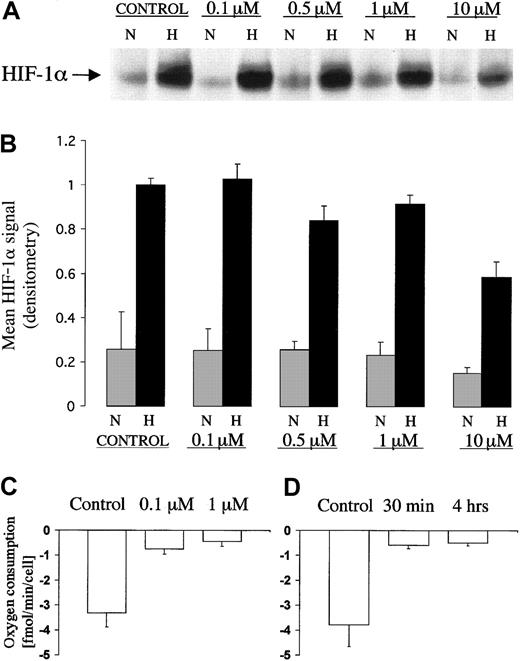 Fig. 1. HIF-1α protein expression and measurement of oxygen consumption in CHOK1 cell line exposed to different doses of rotenone. / (A) Representative immunoblot of HIF-1α showing dose response characteristic for the effect of rotenone on induction by hypoxia. Levels of HIF-1α in extracts of CHO-K1 cells after 4 hour exposure to normoxia (21% O2, N) or hypoxia (0.1% O2, H) at different doses of rotenone (0 to 10 μM). (B) Data are HIF-1α signals (mean ± 1 SD; n = 3) normalized to the HIF-1α signal from control cells in hypoxia. (C,D) Polarographic measurements of oxygen consumption in CHO-K1 cells exposed to rotenone. (C) Dose response for rotenone (0, 0.1 μM, 1 μM). Cells treated for 4 hours in normoxia (21% O2). (D) Time course. Cells treated with 0.1 μM rotenone for 30 minutes or 4 hours in normoxia (21% O2). Measurements were performed in triplicate. Data are mean ± 1 SD.