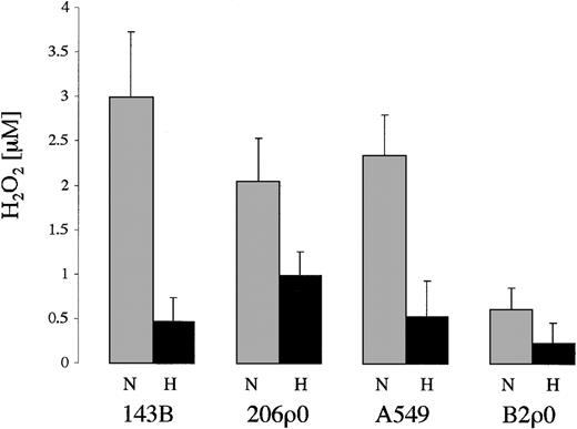 Fig. 6. Production of hydrogen peroxide by wild-type and ρ0 cells. / Cells were grown in 24-well plates. After 2 hours of incubation in normoxia (20% O2, N) or hypoxia (1% O2, H), an aliquot of extracellular medium was removed in which the hydrogen peroxide (H2O2) concentration was measured (as described in “Materials and methods”). Cells were counted after the experiments: 143B cultures contained 218 000 ± 3000 cells/well (mean ± 1 SD), 206ρ0 171 000 ± 13 000 cells/well, A549 576 000 ± 85 000 cells/well, and B2ρ0 235 000 ± 24 000 cells/well.