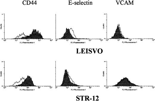 Fig. 6. Induction of E-selectin expression on lung microvascular endothelial cells. / Lung microvascular endothelial cells (LEISVO) and bone marrow–derived endothelial cells (STR-12) were exposed to nicotine for 4 hours. Expression of CD44, VCAM, and E-selectin was evaluated by FACS analysis. Adhesion molecule expression on untreated cells (dark field) was compared with that on nicotine-treated cells (transparent field).