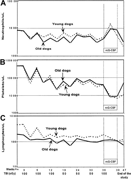 Fig. 1. Median counts after each dose of total body irradiation in young and old dogs. / Count recoveries for (A) neutrophil, (B) platelet, and (C) lymphocyte were not different among young and old dogs.