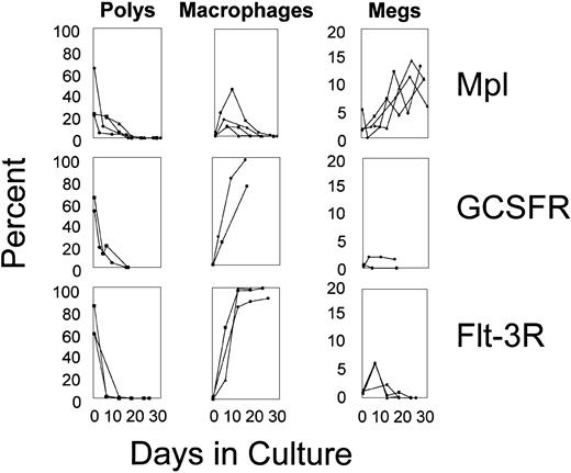 Fig. 4. Differentials of transduced marrow cells. / Cytospins were performed at various time-points of culture, and differentials were assessed by Wright Giemsa staining.