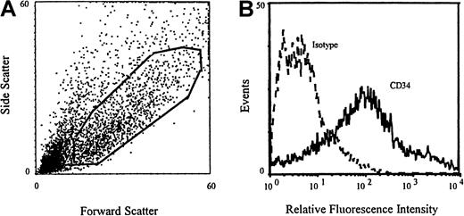 Fig. 7. Immunofluorescence flow cytometry analysis of CD34 surface markers of differentiated rhesus monkey ES cells. / CD34+ cells were defined as cells with dim and bright fluorescence intensity compared with the isotype control.