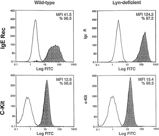 Fig. 3. Similar percentages of Lyn-deficient mast cells express c-Kit as wild-type mast cells. / Pooled mononuclear cells from the bone marrow (n = 2) of wild-type or Lyn-deficient mice were cultured in murine IL-3 for 5 weeks. FACS analysis was performed to compare the expression of c-Kit and high-affinity IgE receptors, 2 mast-cell markers, on the cell surface. Nonshaded peaks represent cells stained with isotype-matched control antibody. Shaded peaks represent cells stained with either IgE or c-Kit antibodies, as indicated. MFI represents the average level of high-affinity IgE receptor or c-Kit expression on the cell surface. Data are representative of the results of triplicate experiments. FITC indicates fluorescein isothiocyanate.