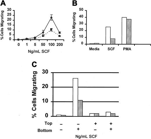 Fig. 4. SCF-induced migration of Lyn-deficient mast cells is reduced. / (A) Impaired migration of Lyn-deficient mast cells is dose-related. Wild-type (♦) or Lyn-deficient (▪) mast cells were assessed for migration in response to the indicated concentration of murine SCF using a modified Boyden chamber as described in “Materials and methods.” Data represent the mean and standard deviation of triplicate samples and are representative of the results of 4 independent experiments. (B) PMA-induced migration of BMMCs from Lyn-deficient mice is normal. Migration of BMMCs from wild-type (■) or Lyn-deficient (░) mice in response to murine SCF (100 ng/mL) or PMA (50 ng/mL). All samples were performed in triplicate, and results are representative of 2 independent experiments. (C) SCF-induced migration of BMMCs is not the result of chemokinesis. Migration of BMMCs from wild-type (■) or Lyn-deficient (░) mice was performed as described above, except that the percentage of migrating cells was assessed in the presence of media or SCF in the top or bottom wells of the chemotaxis chamber, as indicated.