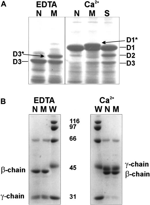 Fig. 4. SDS-PAGE of fibrinogenolysis fragments digested in the presence of 1 mM EDTA or 1 mM Ca++. / Normal fibrinogen (N), variant fibrinogens Milano XII (M) and St Gallen I (S). Lane S illustrates the size of the intermediate plasmin degradation fragment D2 (see “Results”). (A) Nonreduced samples. (B) Reduced samples. W, molecular weight standard. Fibrinogen (0.4 mg/mL) was digested with plasminogen (10 μg/mL) and streptokinase (40 U/mL) for 4 hours at 37°C.