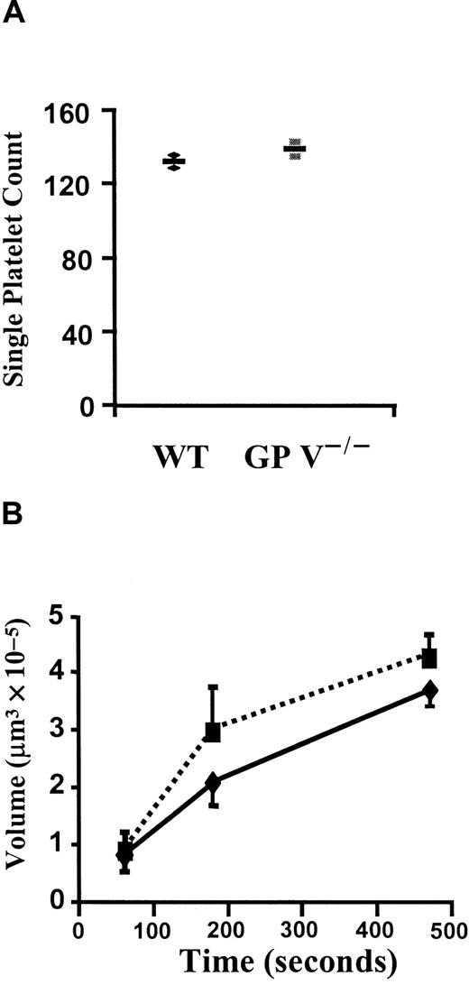 Fig. 3. In vitro platelet adhesion and aggregation in the presence of heparin. / (A) Single-platelet adhesion. Either GP V+/+ (♦) or GP V−/− (▪) mice were bled with heparin-coated glass capillary tubes and thrombin was further inhibited by heparin (20 U/mL). Fluorescently labeled blood samples were then perfused at a shear rate of 1500 s−1 in a flow chamber coated with collagen type I fibrils. Numbers of adherent platelets in the first 15 seconds were very similar in the 2 genotypes. n = 2,P = .44, Mann-Whitney test. The mean and individual values are shown. (B) Comparison of volumes of platelet thrombi formed in the in vitro thrombosis model. Heparin-treated blood samples were perfused at shear rate of 1500 s−1 and total volumes of thrombi were determined after 60, 180, and 470 seconds. No significant differences were found between GP V+/+ (—) and GP V−/− mice (- - -). n = 3, P > .27 at all time points tested, Mann-Whitney test. The mean ± SEM is shown.