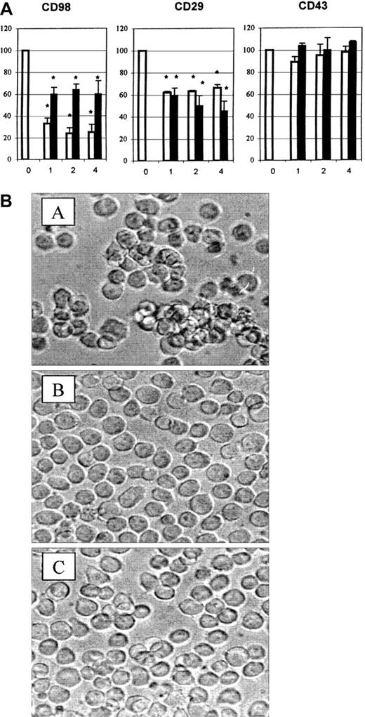 Fig. 8. CD147 antibodies block aggregation induced via CD98. / (A) Aggregation was measured under standard conditions in the presence of CD98-AHN-18 (1.5 μg/mL, left panel), MEM 101A (CD29, 0.3 μg/mL, middle panel), or 161-46 (CD43, 0.3 μg/mL, right panel). Blocking antibodies to CD147 were added to U937 cultures 1 hour prior to the aggregating antibodies. Results are expressed as the percentage of aggregation relative to the aggregation in the absence of blocking antibody (column labeled 0 in each panel). Means that differ significantly from control (absence of inhibitory antibody,P < .05) are shown with an asterisk. Antibodies were tested at a series of dilutions, starting with the most dilute and increasing in 2-fold steps along the x-axis. To obtain the actual concentration of antibody at each point (in μg/mL), the x-axis value should be multiplied by 1.2 for MEM M6/1 (CD147, □) and 1.1 for H84AF (CD147, ■). (B) U937 cells were incubated in medium alone (i), CD98-AHN-18 (1.5 μg/mL) (ii), or CD98-J3 and MEM M6/1 (CD147, 1.2 μg/mL) (iii) for 6 hours, as described in “Materials and methods.” Images of cells in culture at this time point were obtained by means of an inverted phase contrast microscope, attached to a video camera, and captured with NIH image software.