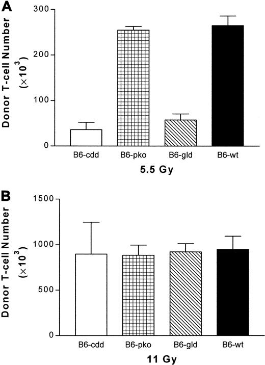 Fig. 6. Early expansion of CD4+ donor T cells depends on FasL function. / Highly enriched CD4+ T cells were obtained from spleens of B6, B6-pko, B6-gld, and B6-cdd mice by means of magnetic beads on Macs column (see “Materials and methods”). Then, 1 × 106donor CD4+ T cells were combined with 5 × 106 T-cell–depleted B6-Ly5.1 bone marrow cells and injected into BALB/c recipients (2 per group) irradiated at 5.5-Gy (A) or 11-Gy (B) TBI 24 hours earlier. At day 5, the mesenteric lymph nodes were harvested from individual recipient mice and counted. Donor T cells were identified by staining with anti-CD4, anti–H-2Kb, and anti-Ly5.1 mAbs. The percentage of CD4+H-2Kb+Ly5.1− cells × the total number of nucleated lymph node cells was used to determine donor cell numbers. (A) B6-cdd and B6-gld versus B6: P < .0014. B6-pko versus B6: P > .5. (B) B6-cdd, B6-gld, and B6-pko versus B6-wt: P > .5.