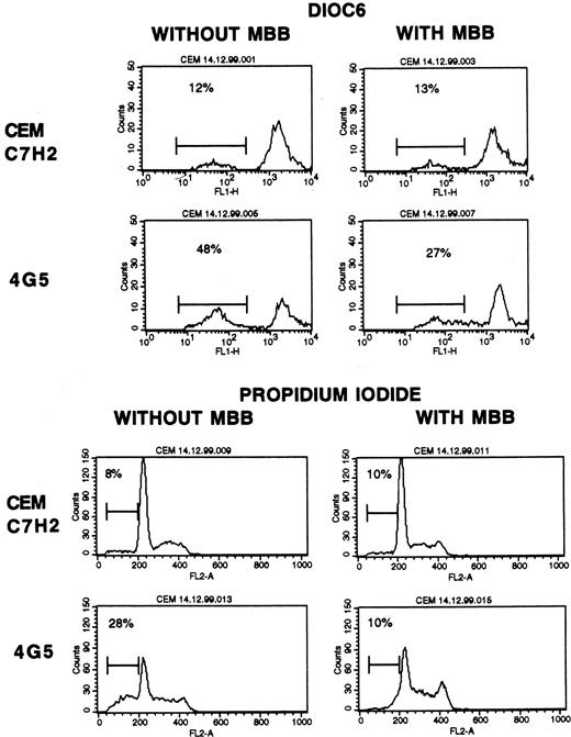 Fig. 9. Inhibition of depolarization and apoptosis by MBB. / Flow cytometric histograms for DiOC6 and PI staining of the CEM C7H2 cell or its daughter cell CEM 4G5, whose mutant TP53 adopts a wild-type conformation when cultured at the permissive temperature (32°C). The cells were cultured for 18 hours with or without 4.5 μM MBB. Percentages of depolarized (DiOC6-low) cells or cells with less DNA than the G0/G1 peak (PI-low cells) are indicated on the histograms. Results are representative of 3 similar experiments.