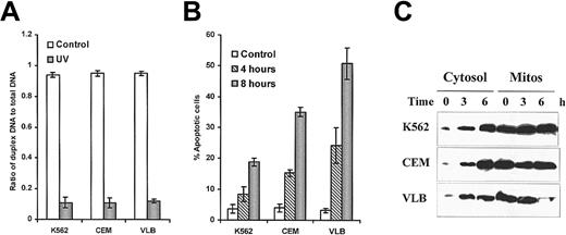 Fig. 1. UV light–induced DNA damage, apoptosis, and cytochrome. / c release. (A) UV light–induced DNA damage. DNA double-strand breaks were assessed by alkaline unwinding assay. (B) UV light–induced apoptosis was assessed by flow cytometry. (C) Detection of cytochrome c release by Western blotting. 50 μg cytosolic protein or 25 μg mitochondrial protein was analyzed by immunoblotting with denatured anticytochrome c antibody (7H8.2C12) at 1:1000 dilution.