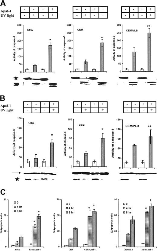Fig. 7. UV light–induced activation of caspases and apoptosis in leukemic cells. / (A) UV light–induced procaspase-9 activation. Increased activity of caspase-9 in Apaf-1–transfected cells was compared with their wild type (*P < .0001; **P < .001). Processing of procaspase-9 was confirmed by immunoblotting. Caspase-9 precursors are indicated by an asterisk, and the processed caspase-9 is indicated by an arrowhead. (B) UV light–induced procaspase-3 activation. *P < .0001; **P < .01. Processing of procaspase-3 protein was indicated by immunoblotting. Caspase-9 precursors are indicated by an asterisk, and β-actin is indicated by an arrow. (C) UV light–induced apoptosis. Apaf-1–transfected cells were statistically significantly more sensitive than wild-type cells (*P < .0001).