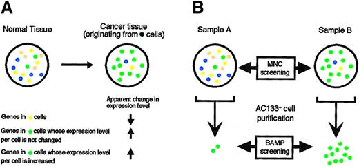Fig. 1. Changes in gene expression profile due to a shift in cell population composition. / (A) The normal tissue is composed of various cell types, whereas the cancer tissue is composed predominantly of the cancerous cell type (green). Expansion of the cancer cells thus results in a decrease in the proportion of the other cell types. The overall level of expression in the cancer tissue of genes that are selectively expressed in one type of noncancer cell (yellow) would thus appear decreased (arrow), compared with that in the normal tissue, only because of the corresponding decrease in the yellow cell population. Conversely, expansion of the green cells gives rise to an apparent increase in the tissue expression level of genes specifically expressed in this cell type, regardless of whether the number of the corresponding transcripts per cell is actually increased or not. (B) Previous comparisons of transcriptomes in the studies of blood cells have been performed with MNCs of sample A and sample B, irrespective of their cellular compositions (MNC screening). In the present study, transcriptomes were compared between leukemic blasts (green) to reduce the occurrence of pseudopositive and pseudonegative results generated by a shift in cell population composition. For this approach (BAMP screening), the target leukemic blasts were purified by affinity chromatography on a column containing anti-AC133.