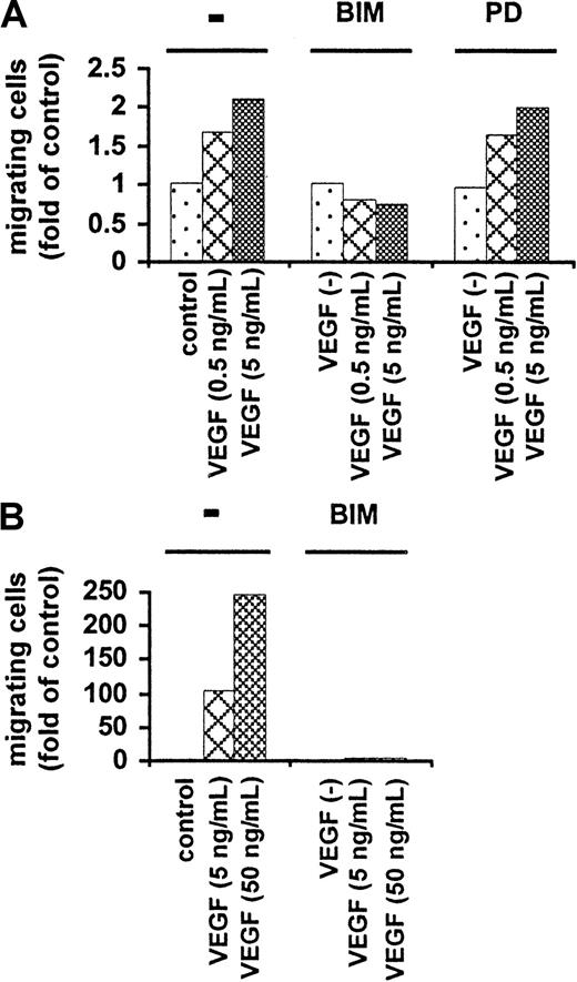 Fig. 7. PKC dependency of VEGF-induced migration. / Growth-factor–deprived MM.1S cells (panel A) were pretreated with or without BIM or PD89059, plated on a polycarbonate membrane (8-μm pore size) in a modified Boyden chamber, and exposed for 4 hours to VEGF (0.5 and 5 ng/mL) added to the lower chamber. At the end of the treatments, cells on the lower part of the membrane were counted with a Coulter counter ZBII. Growth-factor–deprived patient PCL cells (panel B) were pretreated with BIM, and migration induced by VEGF (5 or 50 ng/mL) was analyzed as described above. Results are expressed as the fold migration of untreated cells (control). Representative results from 2 separate experiments are shown.