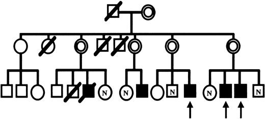 Fig. 1. Pedigree of CGD patients and their family. / CGD patients, ▪; carriers, ⌾. Symbols marked as N indicate normal; arrows, the patients studied.