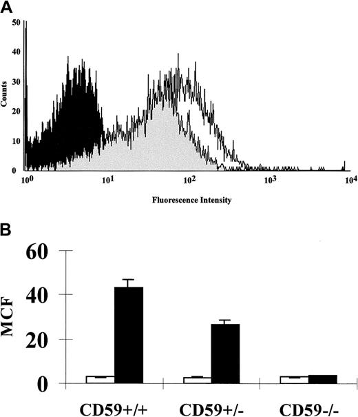 Fig. 2. CD59 expression on erythrocytes of CD59+/+, CD59+/−, and CD59−/− mice. / Erythrocytes were isolated by centrifugation, labeled with a biotinylated anti-CD59 mAb followed by phycoerythrin-conjugated streptavidin, and gated on the forward scatter versus side scatter dot plot generated by the FACSCalibur. (A) Overlay of the histogram profiles of CD59+/+ (unshaded), CD59+/−(lightly shaded), and CD59−/− (heavily shaded) erythrocytes. (B) Graph showing the CD59 mean cell fluorescence (MCF) obtained for erythrocytes from CD59+/+, CD59+/−, and CD59−/− mice (filled bars; 3 in each group). The negative controls shown underwent the same procedure but without the anti-CD59 mAb being present (open bars). Error bars represent SD for the 3 determinations.