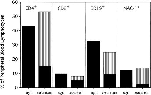 Fig. 3. Anti-CD154–facilitated alloengraftment is multilineage. / Twenty mice from 2 representative experiments shown in Figure 1 were phenotyped at 120 days after BMT for donor-host origin of CD4+ and CD8+ T cells, CD19+ B cells, and MAC-1+ myeloid cells. On the x-axis are shown the host and donor proportions of each of the lineages. ▪ indicates the proportion of each lineage of host origin; ▥, the proportion of each lineage that is of donor origin. On the y-axis is shown the percentage of PBLs of each lineage. Irrelevant hIgG–treated mice had no detectable donor chimerism and thus are composed entirely of host-type cells. Note that most CD4+ T cells, CD19+ B cells, and MAC-1+ myeloid cells in anti-CD154–treated mice are of donor origin. In contrast, most of the CD8+ T cells are of host origin.
