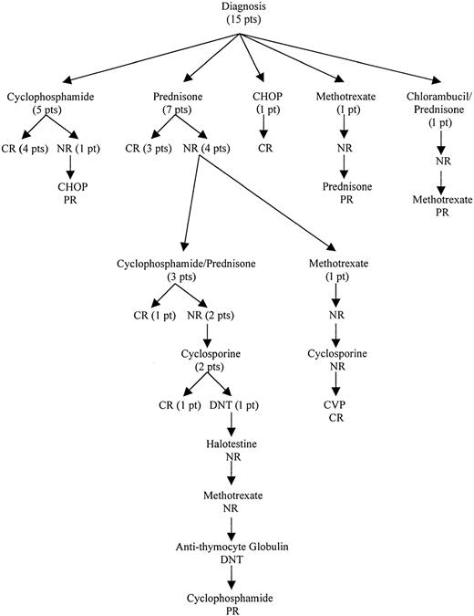 Fig. 1. Treatment outcomes of patients with PRCA associated with T-LDGL from diagnosis until first response. / CR indicates complete response; PR, partial response; NR, no response; DNT, did not tolerate; CHOP, cyclophosphamide/doxorubicin/vincristine/prednisone; CVP, cyclophosphamide/vincristine/prednisone; pt, patient.