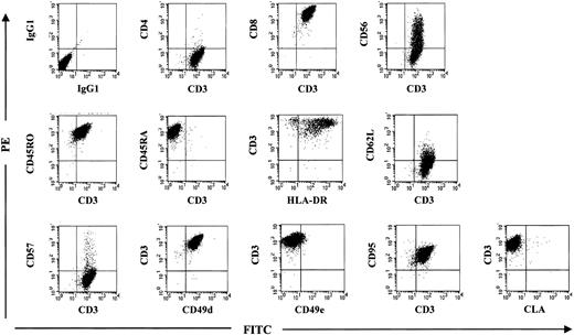 Fig. 7. Immunophenotype of a rapidly expanded pp65495-503-specific CTL line shows virtually exclusively CD8+ cells with some cells triple staining for CD3, CD8, and CD56. / The CTLs are CD45RO+ and CD45RA− indicative of memory phenotype. The cell line is activated (HLA-DR+ and CD62L− or L-selectin negative) and expresses CD49d (VLA-4), which is associated with the ability of cells to transgress across epithelium.
