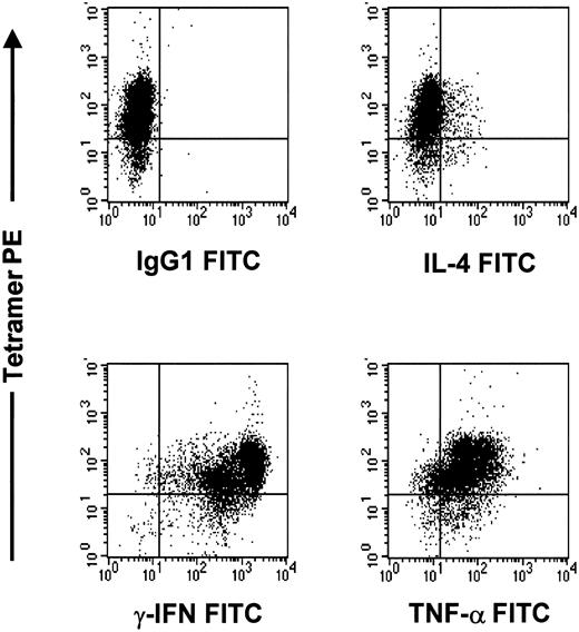 Fig. 8. The pp65495-503-specific CTL line after rapid expansion is of Tc1 phenotype. / Cells were stained with tetramer PE, cytokine FITC, and CD4APC or CD8PERCP. The CD8 population is depicted in this graph.
