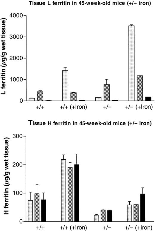 Fig. 4. Effect of iron loading on H and L ferritin accumulation in liver, spleen, and heart from. / Fth+/+ andFth+/− mice. ThreeFth+/− mice and 3 control littermates received 3 subcutaneous injections of iron dextran (total iron, 30 mg) at 5-day intervals. Mice were killed 5 days after the final injection, together with 3 noninjected animals of each genotype. Both H-type and L-type ferritins were assayed in liver (), spleen (▩), and heart (▪) by means of subunit-specific ELISA. Results are expressed as micrograms of recombinant mouse L or recombinant mouse H ferritin per gram of wet weight and are the mean ± SD of 3 mice. Iron contents for the same organs are shown in Table 1. P values for Fth+/+(iron) vs Fth+/− (iron): P = .006 (liver); P = .0006 (spleen);P = .001 (heart).