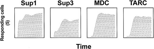 Fig. 3. Calcium mobilization. / Supernatants from CD40-stimulated tumor cells (Sup1 and Sup3) induce calcium mobilization on activated T cells. Supernatants were concentrated and used at 75% vol/vol. Recombinant MDC and TARC were used at 500 ng/mL. The x-axis indicates time (300 seconds). The y-axis indicates percentage of responding cells calculated after subtraction of background levels.
