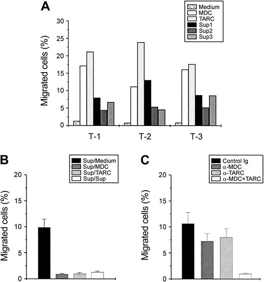 Fig. 4. Transendothelial migration. / (A) Supernatants (Sup) from CD40-stimulated tumor cells induce transendothelial migration of activated T cells. Supernatants obtained from cultures of leukemia cells from 3 representative patients were used at 100% vol/vol. Activated T cells were derived from 3 different donors (T-1 to T-3). Recombinant MDC and TARC were used at 500 ng/mL. Data are expressed as percentage of migrated cells. (B) The migration induced by supernatant of CD40-stimulated ALL cells is inhibited by disruption of chemokine gradient, by the addition of MDC, TARC, or supernatants to the Transwell upper chamber. Results represent mean ± SE of 3 individual experiments. Legend indicates the supernatant placed in the lower chamber followed by reagent placed in the upper chamber. (C) A combination of neutralizing anti-MDC and anti-TARC antibodies abrogates the migration induced by supernatants of CD40-stimulated ALL cells. Results represent mean ± SE of 3 individual experiments.
