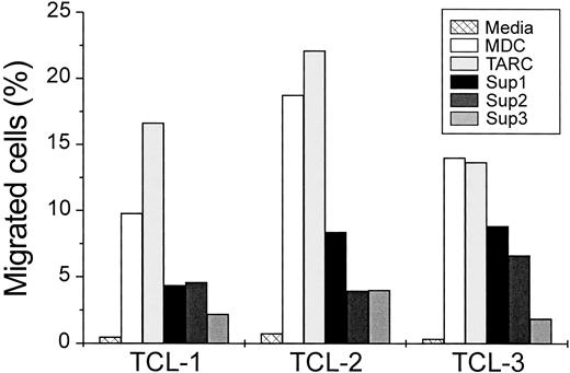Fig. 6. Antitumor-specific T cells migrate through endothelium in response to supernatants from CD40-stimulated tumor cells as well as to recombinant MDC and TARC. / MDC and TARC were used at 500 ng/mL. Supernatants were produced as described. Antitumor T-cell lines (TCL) were from 3 representative patients and were generated as described.17 Data are expressed as percentage of migrated cells.