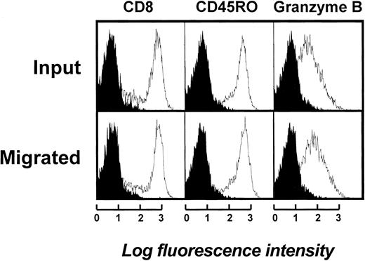 Fig. 7. Phenotypic characterization of antileukemia T cells migrated through endothelium in response to supernatant from CD40-stimulated tumor cells. / Data represent both input (upper section) and migrated cell populations after the 6-hour chemotaxis assay through HUVEC endothelial cell layer (lower section). Fluorescence intensity is shown on the x-axis. Blank areas represent fluorescence distribution of the molecules indicated and filled areas represent that of isotype-matched control antibodies. The cell number is shown on the y-axis.