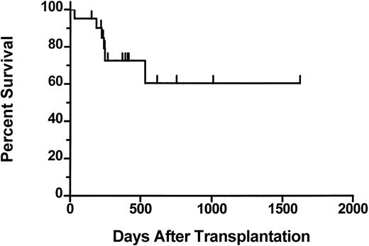Fig. 1. Actuarial survival from day 0 for 21 patients who underwent transplantation. / Tick marks represent surviving patients.