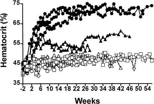 Fig. 1. Serial analysis of percent hematocrit of EPO-lentivirus–treated and control rats. / Closed symbols are rats receiving EPO-lentivirus 6 × 107IU (●) or 6 × 106 IU (▴). Open symbols are control rats receiving saline (○), eGFP lentivirus 5 × 106 IU (■) or 100 μg lentivirus plasmid (▵).