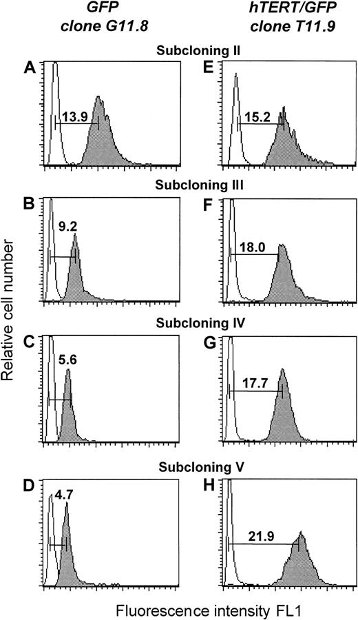 Fig. 2. Teleomere fluorescence. / Telomere fluorescence is shown from subclone G11.8 transduced with the GFP vector (A-D) and subclone T11.9 transduced with the hTERT/GFP construct (E-F). At each cloning step (II-V), the telomere fluorescence of a representative clone is depicted. The telomere fluorescence was calculated by subtracting the mean background fluorescence from the mean fluorescence obtained with the telomere probe and is expressed in kMESF units as described in “Material and methods” (1 kMESF unit corresponds to approximately 0.5 kb).