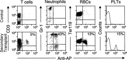 Fig. 5. AP expression in peripheral blood cells of recipients of secondary transplants. / Eight weeks after transplantation of BM cells from primary recipient no. 682, peripheral blood cells from secondary recipients were stained with an FITC-conjugated anti-AP antibody and the indicated PE-conjugated lineage-specific antibodies. Examples of flow cytometry data are shown for different lineages, with the percentage of each cell type that expressed vector-encoded AP indicated. Platelets were identified according to their FSC and SSC characteristics instead of by using a specific antibody. Controls were blood samples from untransplanted mice.
