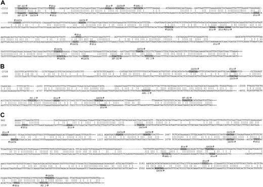 Fig. 7. Comparison of the homologous domains in the flanking regions of the PBP/PF4 locus. / A comparison of the conserved regions, other than within the coding areas or the immediate 1.0 kb of 5′-flanking region, of the mouse and human PBP and PF4 genes are shown. A “‖” refers to an identical nucleotide. Consensus DNA binding sites for a number of megakaryocyte-specific transcriptional factors are highlighted and the names of the transcriptional factors and their orientations are shown. Panel A represents the conserved domain upstream of the PBP gene, and negative numbering begins at the PBP transcriptional start site.11 Panel B represents the conserved intergenic region, and negative numbering begins at the PF4 transcriptional start site.10 Panel C represents the conserved region downstream of the PF4 gene, and numbering begins at the PF4 transcriptional start site.