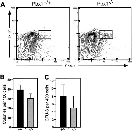 Fig. 4. Reduced pluripotent progenitor numbers and clonogenic potential in Pbx1−/− FL. / (A) Representative FACS profiles of wt (left) andPbx1−/− (right) FL at E14.5 show a relative increase in frequency of lin−Sca-1+c-Kit+ cells inPbx1−/− FL. Note that the absolute numbers of lin−Sca-1+c-Kit+AA4.1+cells per FL, however, are reduced (wt = 2.8 × 104cells per FL; Pbx1−/− = 1.6 × 104 cells per FL). Results are shown for single animals of each genotype. (B) In vitro clonogenic potential is shown for HSC-enriched pluripotent progenitors, which were purified by 2 rounds of FACS analysis of cells from 4 pooled FLs of each genotype by means of the FACS gates shown in panel A. (C) Day-8 CFU-S frequency for purified Pbx1−/− andPbx1+/−lin−Sca-1+c-Kit+ cells injected into irradiated wt recipients. Data were obtained from a single experiment (representative of 2) on cells (with 4 or more pooled FLs of each genotype) purified by 2 rounds of FACS sorting by means of the gates shown in panel A.