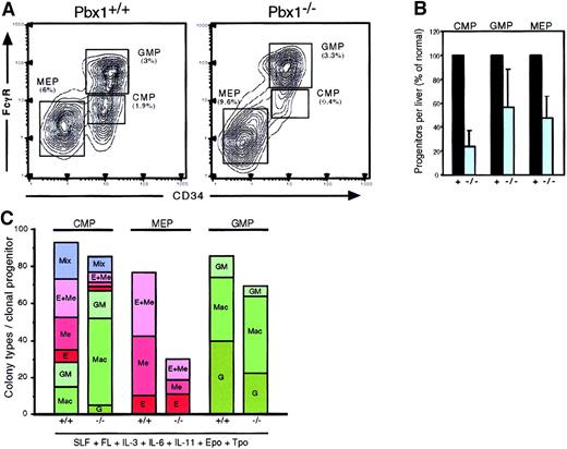 Fig. 6. Reduced frequency and altered lineage potentials of common myeloid progenitors. / (A) Flow cytometric analysis of hematopoietic progenitor populations in wt (left) and Pbx1−/− (right) FL at E14.5. Percentages for each subset are calculated from the lin−c-Kit+Sca-1− population. (B) Total numbers of progenitors of each type per FL are expressed as percentage of wild type. (C) Cumulative colony types are shown for purified progenitors that were plated as single cells in methylcellulose cultures. CMPs (FcγRlo/CD34+) gave rise to macrophage (Mac), granulocyte/macrophage (GM), erythroid (E), erythroid/megakaryocytic (E + Me), and mixed colonies. MEPs (FcγRlo/CD34−) produced only E, Me, and E + Me colonies, but fewer than 25% ofPbx1−/− MEPs produced colonies. Pbx1+ denotes data pooled from wt and heterozygous cells.