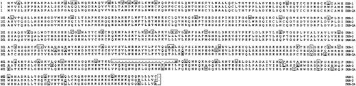 Fig. 3. Amino acid alignment of DUB-1, DUB-2, and DUB-2A proteins. / The predicted amino acid sequences of DUB-1, DUB-2, and DUB-2A are shown. Boxed residues are different among the various DUB proteins. The hypervariable region of the DUB-2A protein extends from amino acids 432 through 451. On the basis of this alignment, DUB-2A has a 95% identity with DUB-2 and an 86% identity with DUB-1.