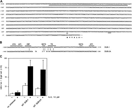 Fig. 7. identification and functional analysis of the cytokine-inducible enhancer of the. / DUB-2 gene. (A) Nucleotide sequence of theDUB-2A promoter. A putative TATA box (position −104) is indicated with a short underline. A 100-bp enhancer element is indicated with a long underline. In addition, a purine-rich microsatellite repeat is found between positions −560 and −385. (B) Comparison of the minimal enhancer regions of DUB-1 andDUB-2A. These enhancer regions contain an ETS protein consensus sequence, 2 AP1 sites, and 3′GATA site. A CBF site, a 5′GATA site, and a TG protein–binding site are found only in DUB-1,as indicated. (C) Luciferase activity was assayed in Ba/F3 cells transfected with the indicated constructs. The cells were starved and restimulated with no growth factor (■) or 10 pM IL-3 (▪). Luciferase assays were performed after 8 hours.