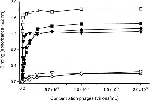 Fig. 4. Binding of 12E4 phages, 12G1 phages, and 27A10 phages to mAbs 12E4, 12G1, or 27A10. / Phages bound specifically to the mAb on which they were selected. One of the phages, selected on mAb 12G1 (phage 1 (■), cross-reacted with mAb 12E4. Binding of the phages was detected using HRP-labeled anti-M13 antibody, as described in “Materials and methods.” ▪, 12E4 phage and 12E4 mAb; ▾, 12G1 phage 1 and 12G1 mAb; ▿, 12E4 phage and 12G1 mAb; ▵, 27A10 phage and 12G1 mAb; ♦, 27A10 phage and 27A10 mAb; ⋄, 12G1 phage 1 and 27A10 mAb.
