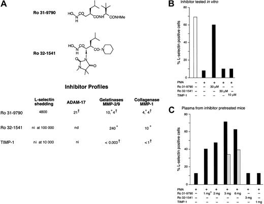 Fig. 1. L-selectin shedding is inhibited by Ro 31-9790, but not by Ro 32-1541 or TIMP1. / (A) The chemical structures of the hydroxamic acid–based synthetic MMP inhibitors Ro 31-9790 and Ro 32-1541. The effects of synthetic inhibitors and the endogenous MMP inhibitor, TIMP1, on phorbol ester–induced L-selectin shedding from mouse lymphocytes are given below. Results are mean IC50 (nM). Effects of inhibitors on ADAM17 and MMPs are given for comparison. Results (*IC50 or †apparent Ki) are means pooled from published data using peptide or protein substrates in cell-free assays223637; ni indicates no inhibition; nd, not determined. (B) In L-selectin shedding assays 30 μM Ro 31-9790 was required to inhibit L-selectin shedding by 90%. Ro 32-1541 (30 μM) and TIMP1 (10 μM) had no effect. Results are means of duplicate observations of L-selectin–positive lymphocytes following incubation with (■) or without (□) PMA. (C) Plasma from mice pretreated with Ro 31-9790 inhibits L-selectin shedding. Maximal inhibition was seen 60 minutes after a single injection of more than 3 mg/mouse but inhibitor levels had fallen by 120 minutes. Plasma from mice treated with Ro 32-1541 or TIMP1 did not inhibit L-selectin shedding. Results are mean number of L-selectin–positive lymphocytes of duplicate observations following incubation with PMA and plasma from mice pretreated with inhibitor for 60 minutes (■) or 120 minutes (). *1, 2, 3 and 6 mg/mouse equivalent to 33, 66, 100, and 200 mg/kg, respectively.