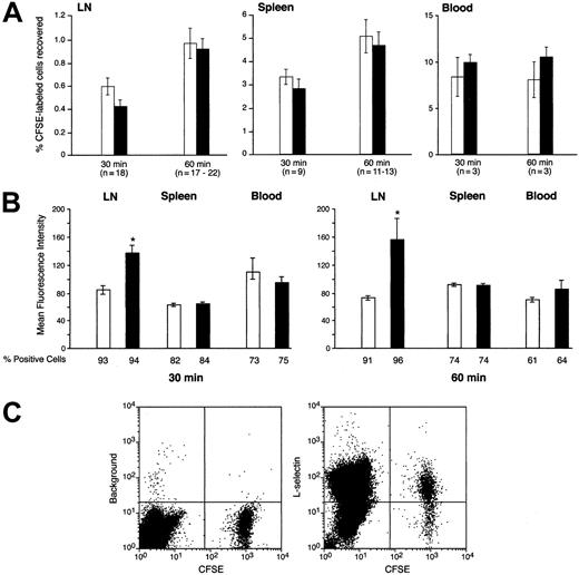 Fig. 2. Ro 31-9790 does not affect lymphocyte migration from the blood into lymphoid organs but inhibits shedding of L-selectin during migration into LNs. / (A) Mice were pretreated with 100 mg/kg Ro 31-9790 (▪) or vehicle alone (■) and 40 × 106 CFSE-labeled lymphocytes injected. The number of CFSE-labeled cells in LNs, spleen, and blood was measured 30 minutes and 60 minutes after injection. Bars are mean percent CFSE-labeled cells ± SEM and the number of mice analyzed is given below each bar. (B) CFSE-labeled lymphocytes harvested from LNs, spleen, and blood were analyzed for L-selectin expression. The total number of L-selectin–positive lymphocytes in each tissue was not affected by Ro 31-9790. However, the level of L-selectin was higher on lymphocytes harvested from LNs, but not the spleen or blood, of mice treated with Ro 31-9790. Bars are mean fluorescence intensities of L-selectin–positive lymphocytes (± SEM, n = 3) in mice treated with Ro 31-9790 (▪) and vehicle (■) with percent positive lymphocytes given below each bar. *P < .005. (C) Representative 2-color FACS profiles showing CFSE-labeled cells in lymphoid organs 60 minutes after injection (left side) and L-selectin expression on CFSE-labeled migrants (right side). Note lack of crossover of CFSE label from FL1 into FL2, which was used to measure L-selectin.