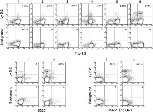Fig. 5. Thymus reconstitution in secondary recipients after transfer of primary recipient thymus cells. / T-cell– and mature B-cell–depleted BM cells from C57BL/6 (Ly-5.2) mice were injected intravenously into lethally irradiated primary Ly-5.1 recipient mice. At various times after primary transfer, thymocytes were harvested from the primary Ly-5.1 recipients and injected intravenously into lethally irradiated secondary Ly-5.1 recipient mice, along with the recipient type Ly-5.1 BM cells to ensure recipient survival. Four weeks after reconstitution, donor-derived cells in the thymuses of the secondary recipients were analyzed by flow cytometry. Although few progeny of the original BM cells were present, they could be selected as Ly-5.2+ cells and characterized by other markers. Background stainings, in which either a fluorescence-conjugated, isotype-matched control was used or the anti–Ly-5.2 antibody was omitted, gave almost no (less than 0.01%) positive staining. Percentage of donor-derived cells that expressed each indicated lineage marker in the secondary recipient is shown in the upper-right quadrant of each plot. Results shown in this figure are representative of 3 such experiments for each time point that gave similar results. Each experiment included 2 to 3 recipient mice.