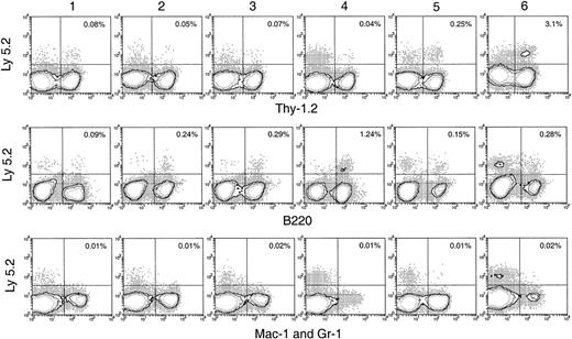 Fig. 6. Hematopoietic lineage reconstitution in the spleen and lymph nodes of secondary recipients after transfer of primary recipient thymus cells. / Experimental procedures are the same as described in Figure 5. Isotype-matched background staining, which was similar to that in Figure 5, is not shown in this figure. Results shown in this figure are representatives of 3 similar experiments for each time point that gave similar results. Each experiment included 2 to 3 recipient mice.