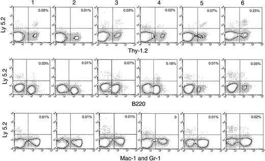 Fig. 7. Hematopoietic lineage reconstitution in the BM of secondary recipients after transfer of primary recipient thymus cells. / Experimental procedures are the same as described in Figure 5. Isotype-matched background staining, which gave no nonspecific staining for Ly-5.2, is not shown in this figure.