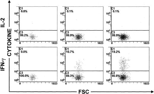 Fig. 2. Time-course study of IL-2 and IFN-γ expression in Tax+ PBMCs. PBMCs were isolated from an HTLV-I–infected individual (TAF), cultivated for 6, 12, or 24 hours in vitro and then harvested. / One representative experiment of 3 is shown.