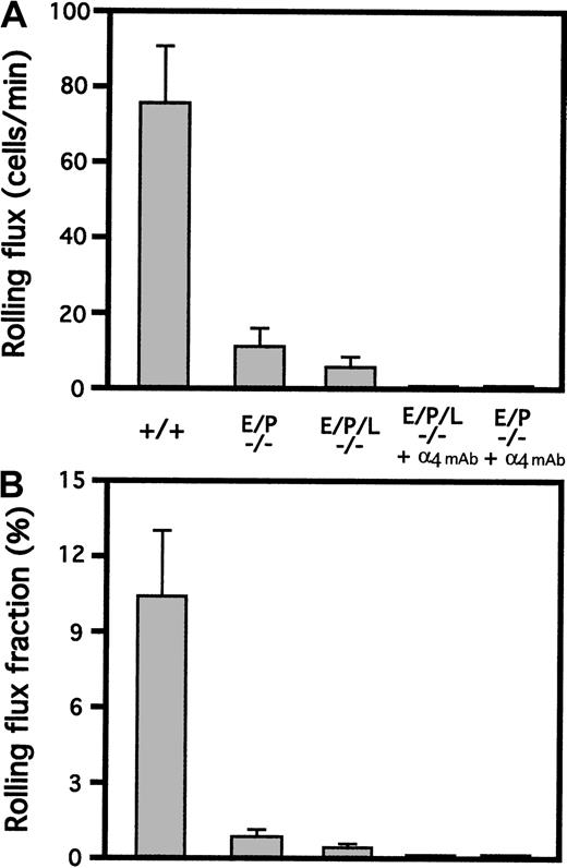 Fig. 3. Leukocyte rolling in the cremaster muscle of triple-selectin–null mice 5 hours after exteriorization. / Leukocyte rolling in the postcapillary venules of the cremaster muscle was severely inhibited (P < .001) compared with the wild type in mice null for all 3 selectin genes. This was reflected by both the rolling flux (A) and rolling flux fraction (B) in mutant and control (+/+) mice. Rolling was completely absent at time points up to 5 hours, with or without pretreatment with TNF-α. A small amount of residual rolling was present at this time, with or without the pretreatment. These results are similar to those in E/P double mutants. The residual rolling observed at 5 hours in both double-mutant and triple-mutant mice was eliminated completely by intravenous administration of a mAb (PS/2) blocking α4-integrin, indicating that the residual rolling is dependent on α4-integrin.