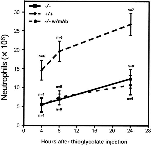 Fig. 4. Neutrophil influx into the peritoneal cavity during thioglycolate-induced peritonitis. / Thioglycolate was injected into the peritoneal cavity of 4 to 8 wild-type mice (diamonds) or triple-null mice (squares). Values represent the mean ± SD number of neutrophils recovered from peritoneal lavage at the indicated times. The differences between the triple-selectin–null mice and the wild-type mice were significant (P < .001) at all times studied. Solid circles represent the number of neutrophils collected after intravenous administration of the α4-integrin–blocking mAb PS/2 to triple-null mice 1 hour before and 6 hours after thioglycolate injection. Although we hypothesized that this blocking antibody might reduce neutrophil emigration into the peritoneal cavity, we observed no effect in this model.
